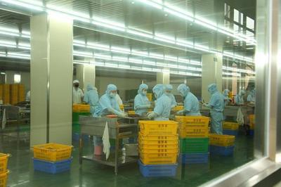 東莞道滘16家企業(yè)榮獲2022年度食品生產(chǎn)企業(yè)質(zhì)量獎(jiǎng)，彰顯產(chǎn)業(yè)高質(zhì)量發(fā)展