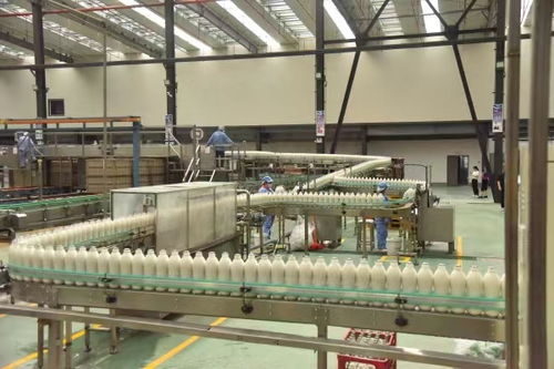 首屆中國綦江食品工業高質量發展大會將于12月4日舉行，聚焦食品銷售新機遇