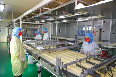 鉚足干勁忙生產，產業發展勢頭足——透視現代食品生產的蓬勃氣象