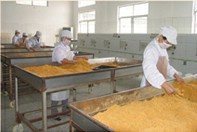 精選肉松批發 黃金松、原味、辣味、雞肉松一站式供應，量大優惠包郵