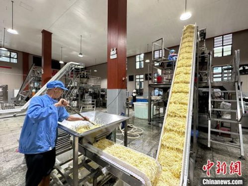 小竹筍闖出大世界 江西樂安做優做強竹筍產業，鋪就鄉村致富路