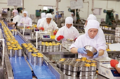 淮北貝寶食品全力投入黃桃罐頭生產，保障市場供應與品質